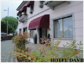 Отель Hotel David  Сесто-Календе